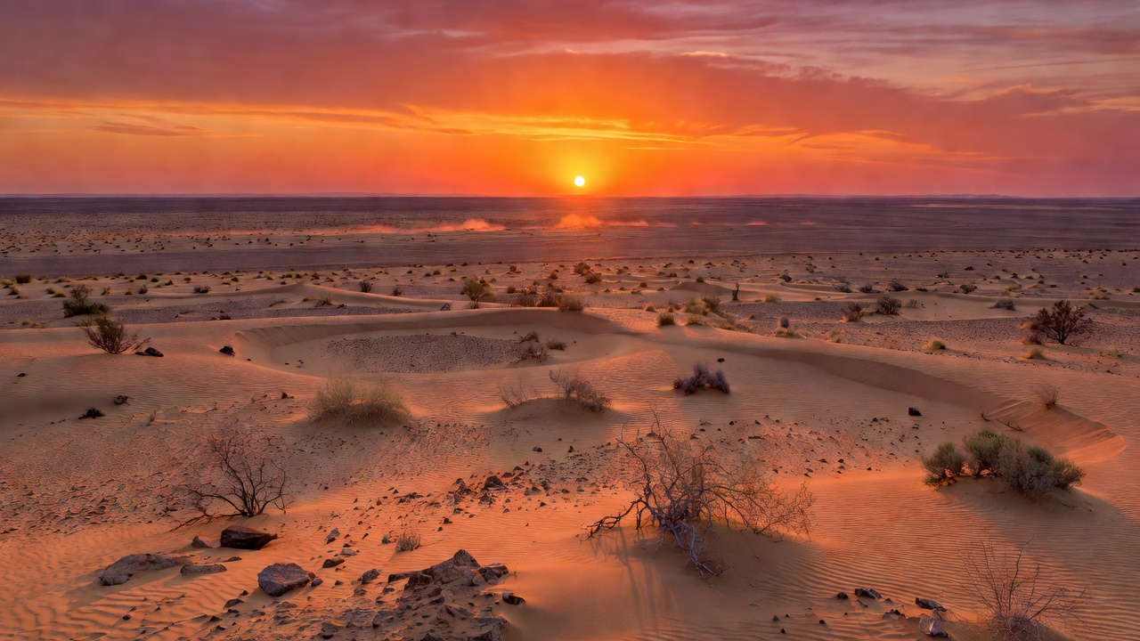 Open field desert horizon during sunset